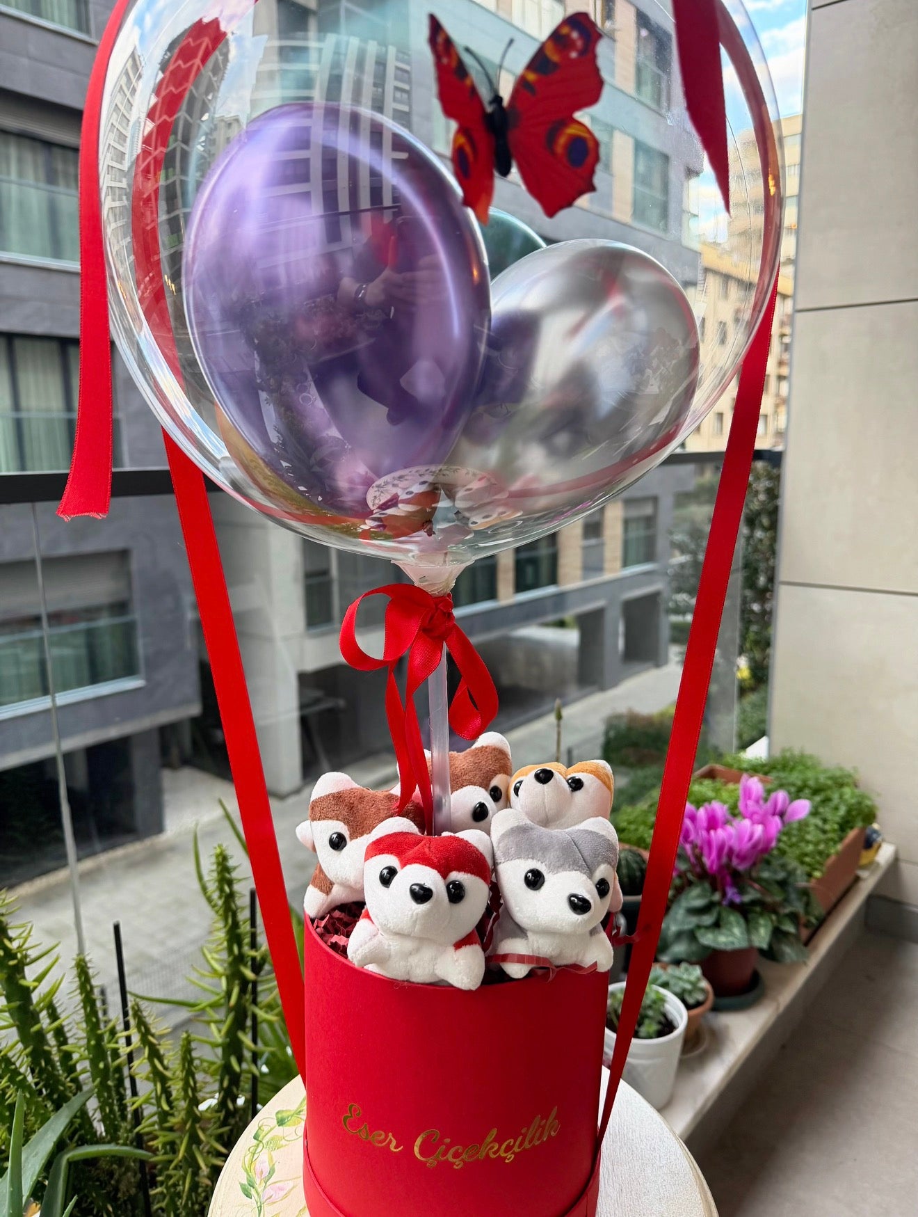 Mini Teddy Balloon Box - Kırmızı Kutuda