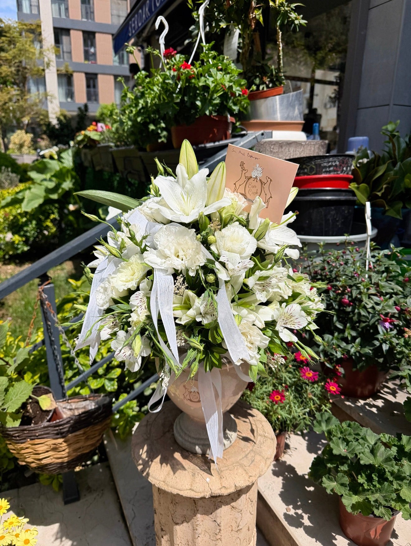 White Aurelia Aranjmanı