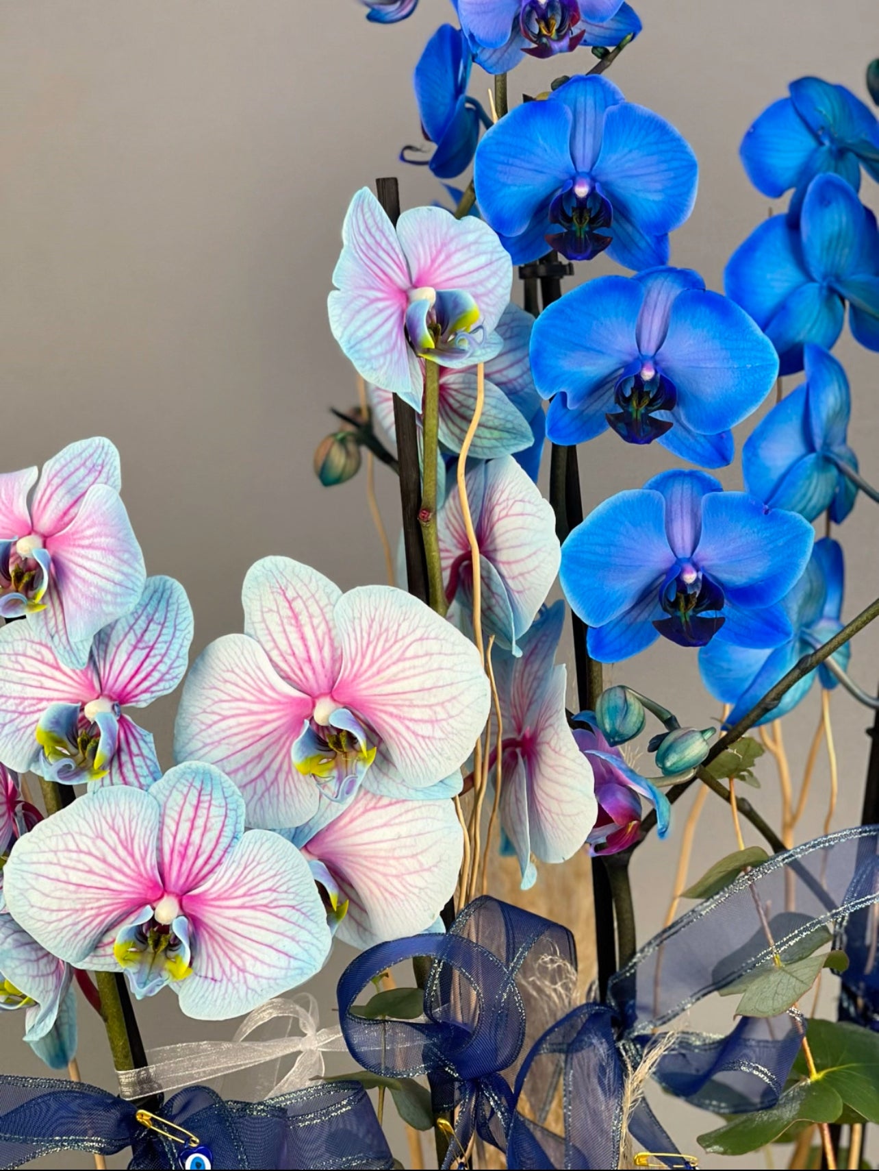 Deluxe Seramik Vazoda 4 Dallı Mavi Orkide Aranjman