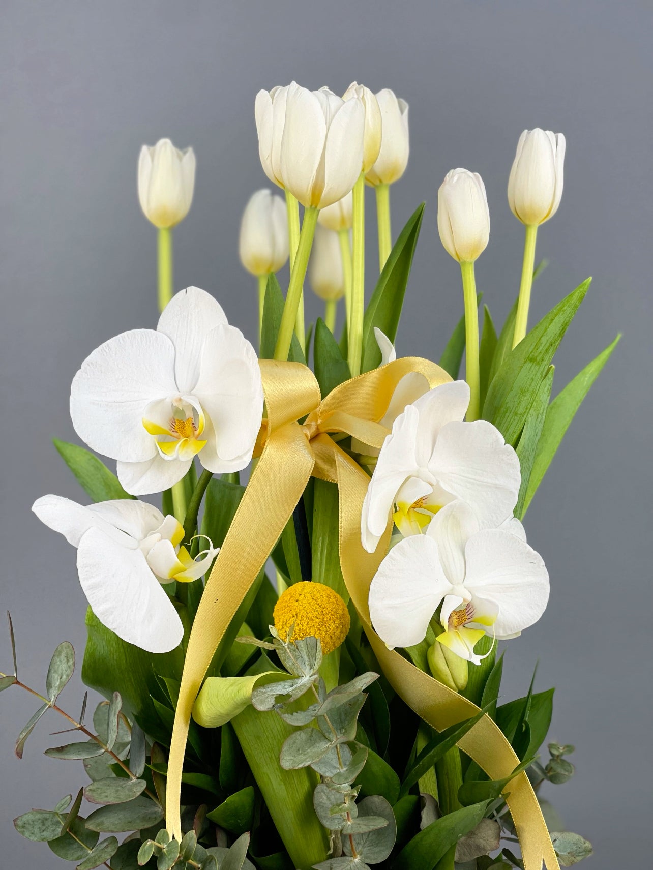 Detay çekim: Beyaz lalelerin zarif formu ile orkide kandillerinin narin yaprak dokusunun yakın plan uyumu.