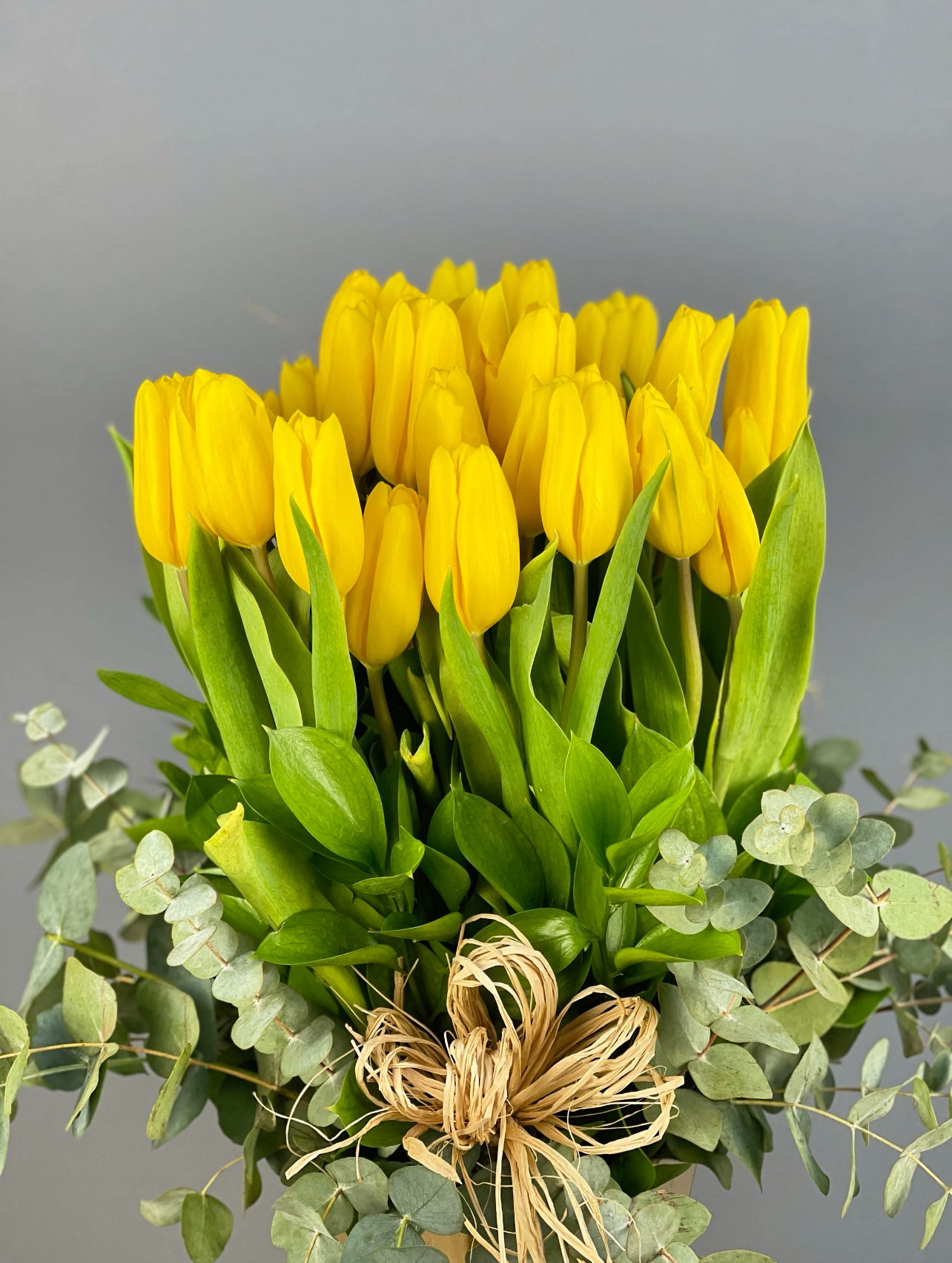 Özel günler için ideal olan Deluxe Golden Bloom Arrangement, 33 sarı laleyle şıklığını gösteriyor.