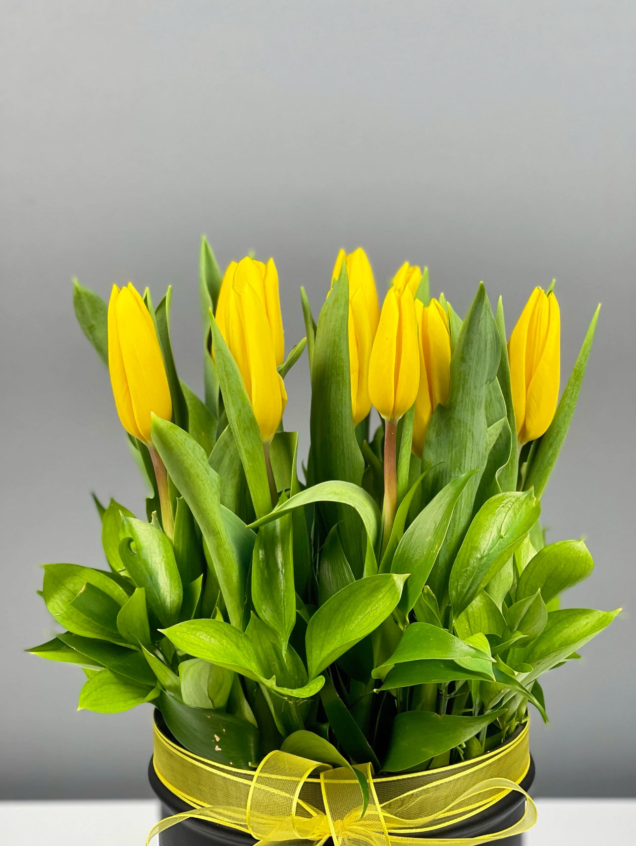 Özel günlerde sevdiklerinize anlam dolu bir hediye sunan Golden Harmony Aranjmanı, zarif çiçek uyumuyla öne çıkar.