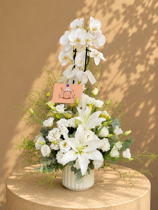 White Grace Orkide Aranjmanı