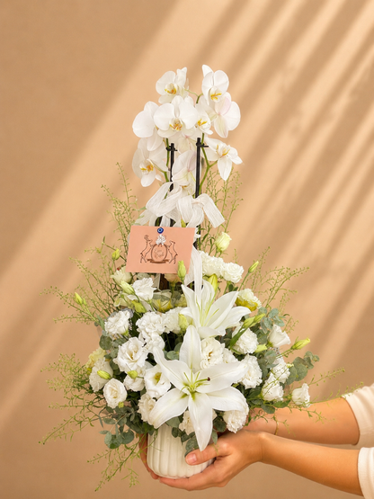 White Grace Orkide Aranjmanı