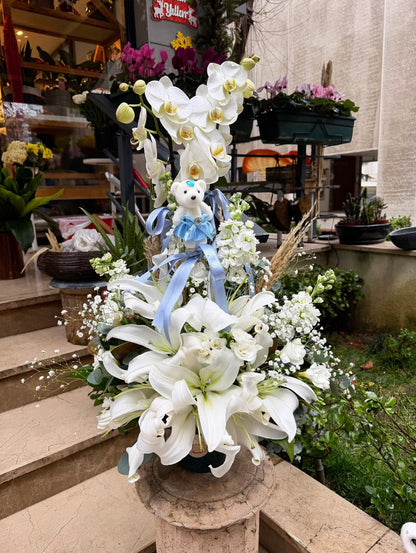 Blue Angel Bebek Aranjmanı