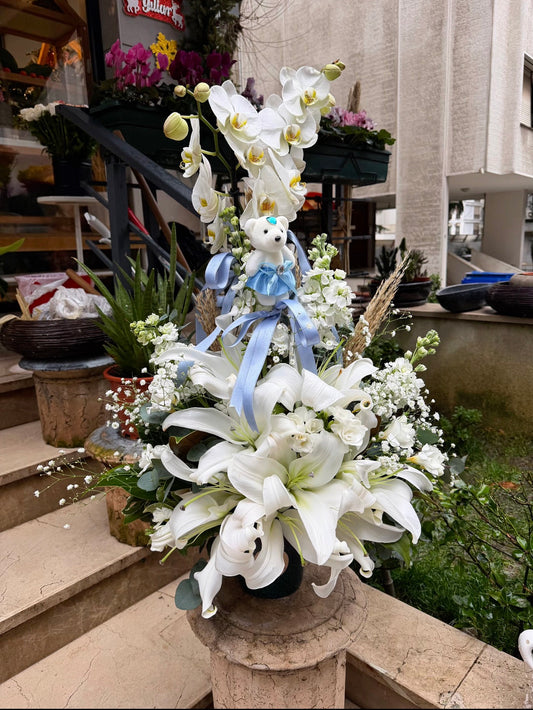 Blue Angel Bebek Aranjmanı