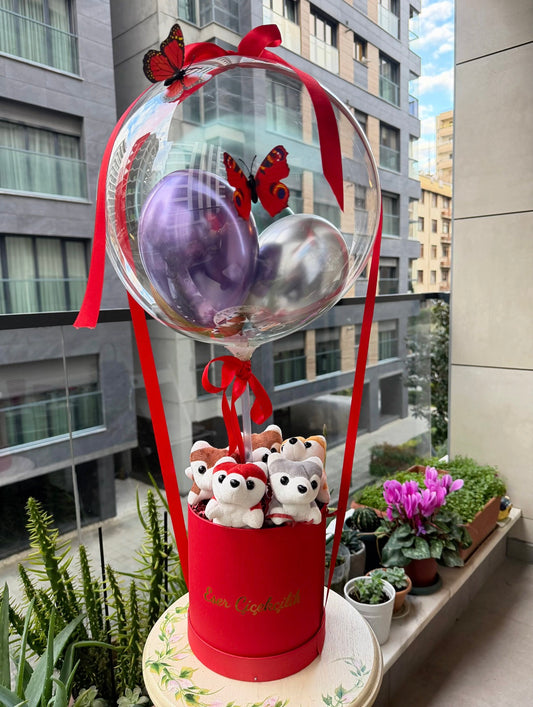 Mini Teddy Balloon Box - Kırmızı Kutuda
