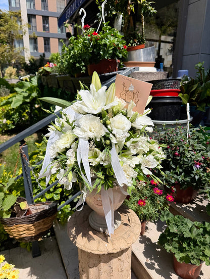White Aurelia Aranjmanı