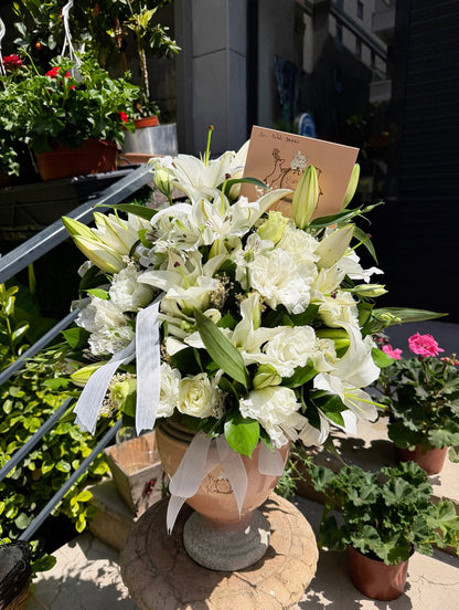 White Aurelia Aranjmanı