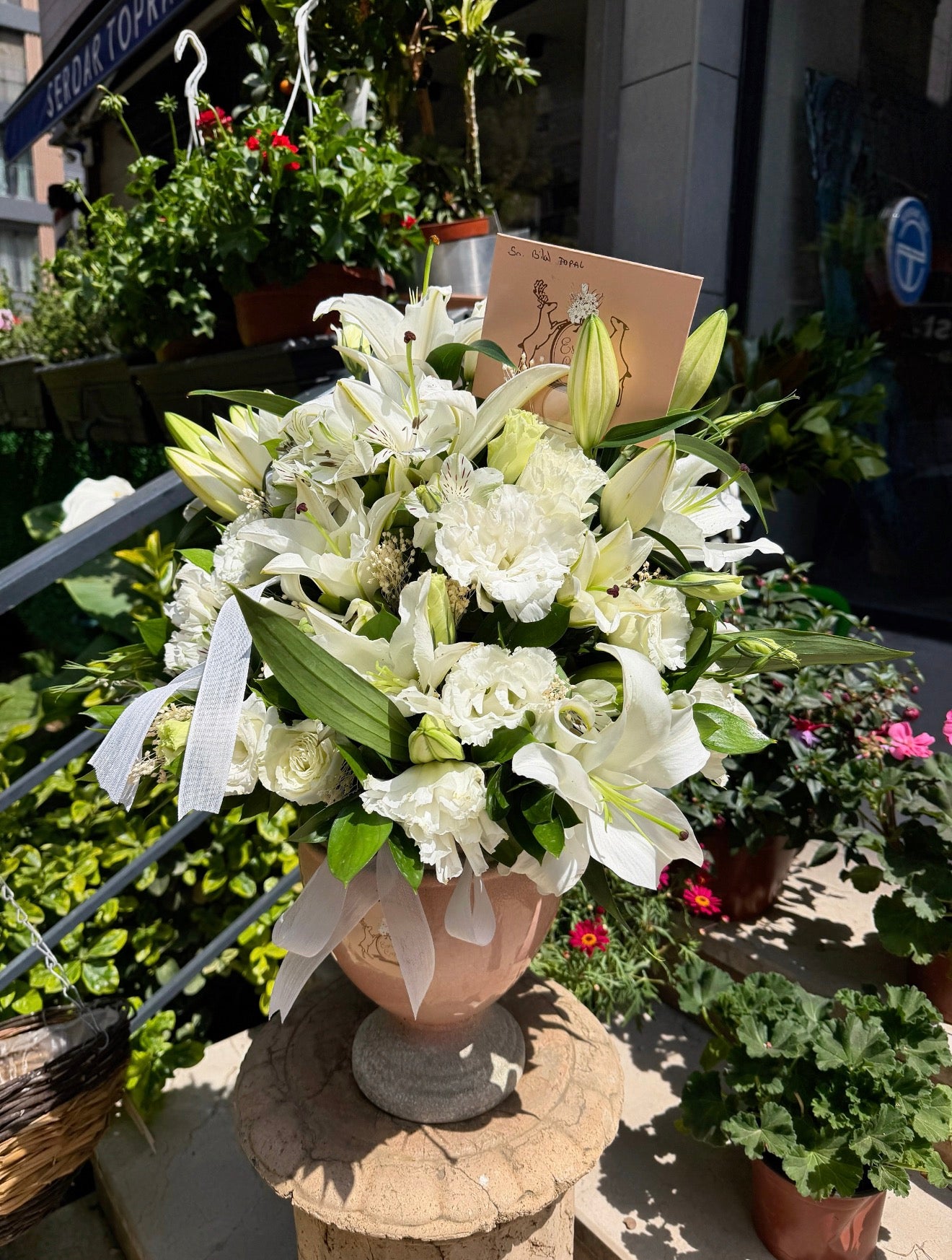 White Aurelia Aranjmanı