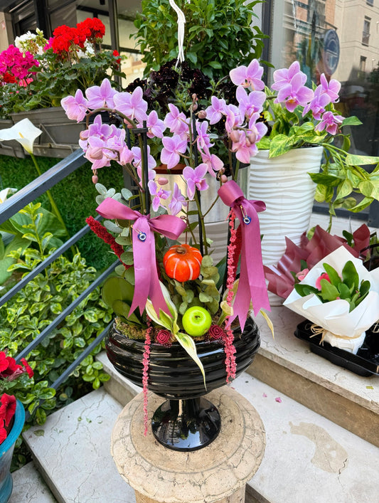 Lilac Noir Orchid Aranjmanı