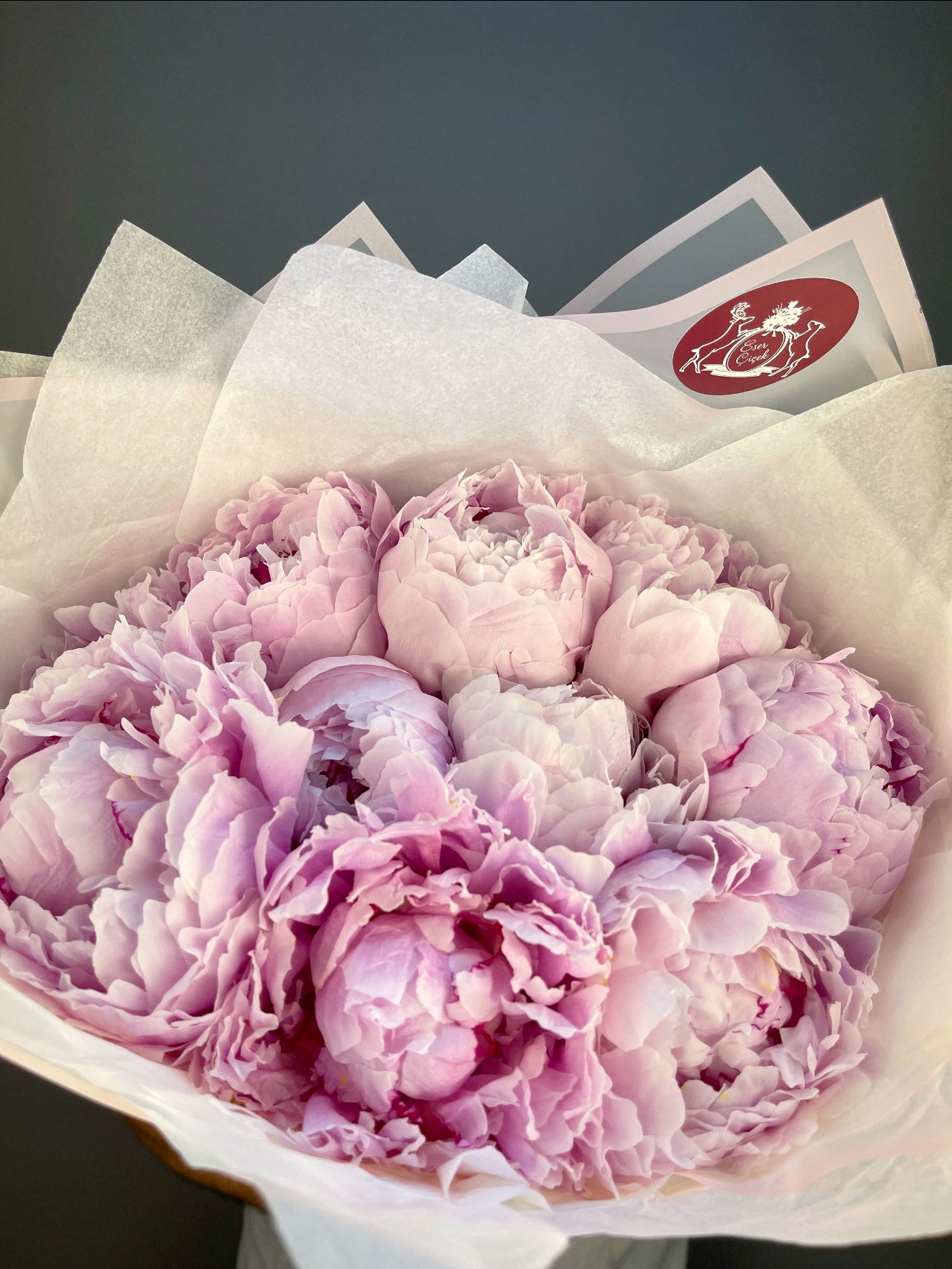 Yakın çekim: Pembe şakayık yapraklarının katmanlı detayı ve yumuşak dokusu.
